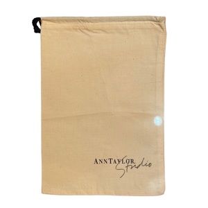 ANN TAYLOR BRAND SHOPPING BAG 9x13